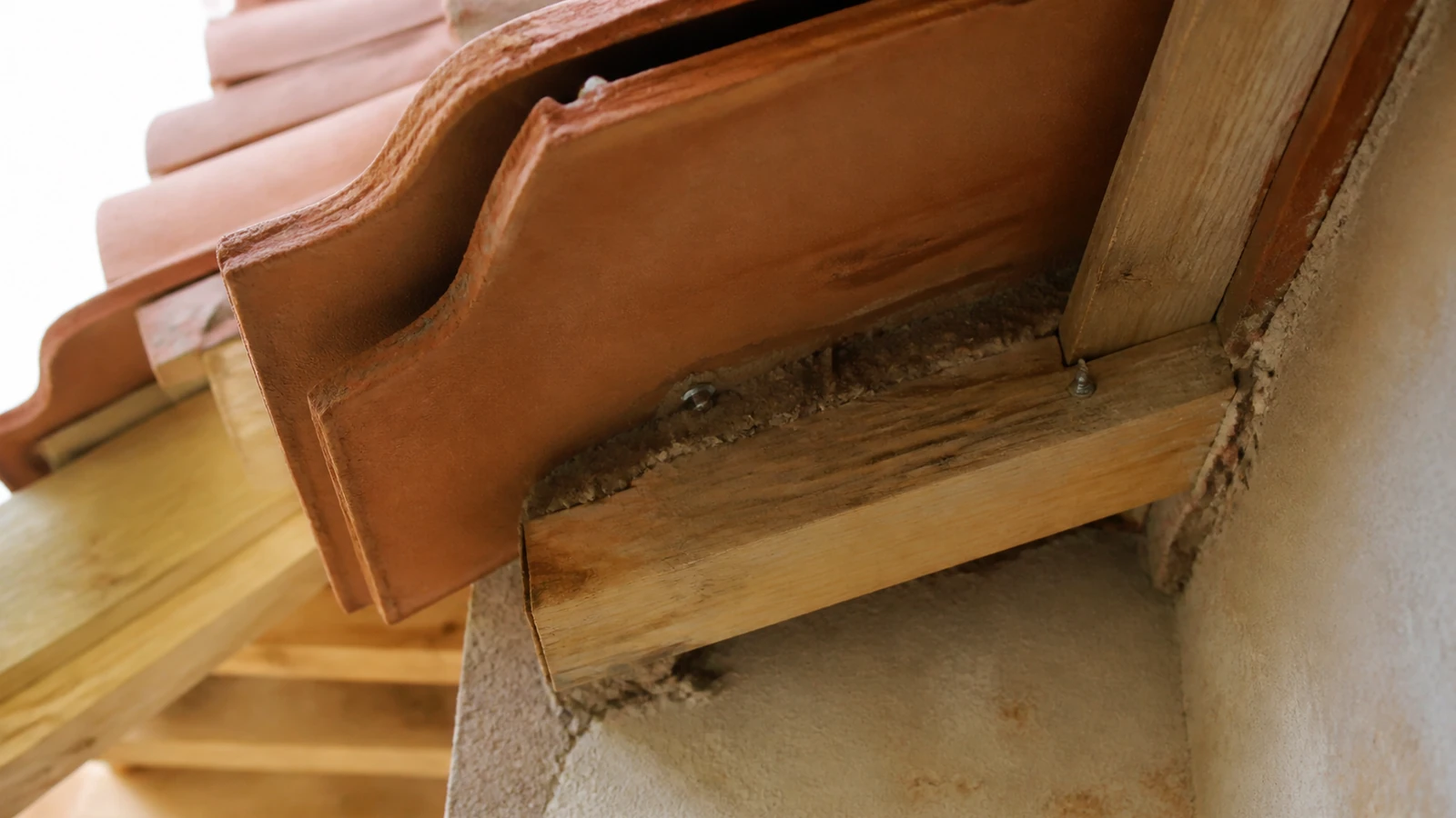 Poser des tuiles de rive : préparer une finition durable — photo 3